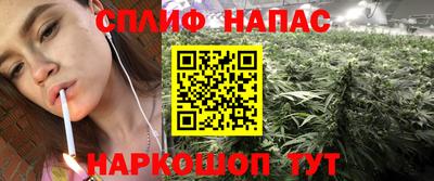 молекула духа Краснознаменск