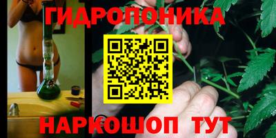 молекула духа Краснознаменск