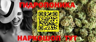 молекула духа Краснознаменск