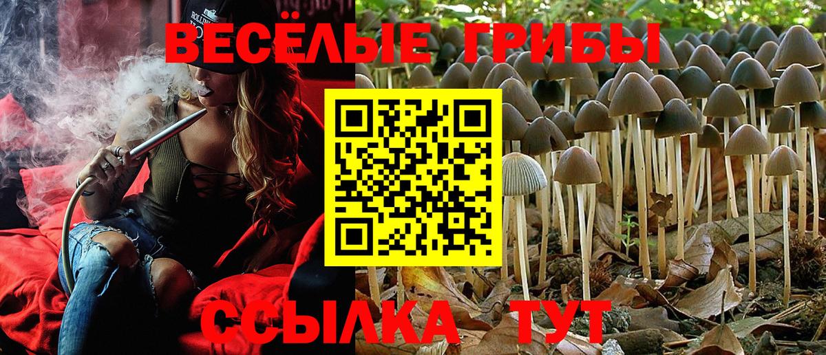 Галлюциногенные грибы прущие грибы  Псилоцибиновые грибы ЛСД  как найти закладки  Улан-Удэ  Вход с VPN 